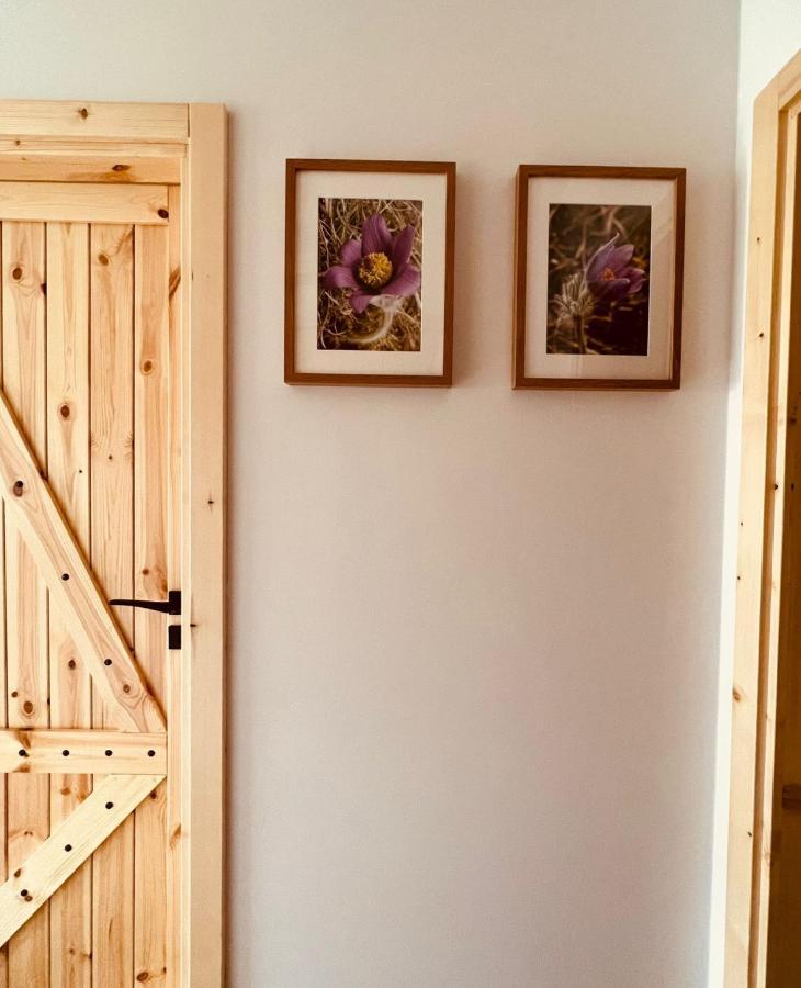 Sasanka - górski apartament z ogródkiem Zakopane Exterior foto